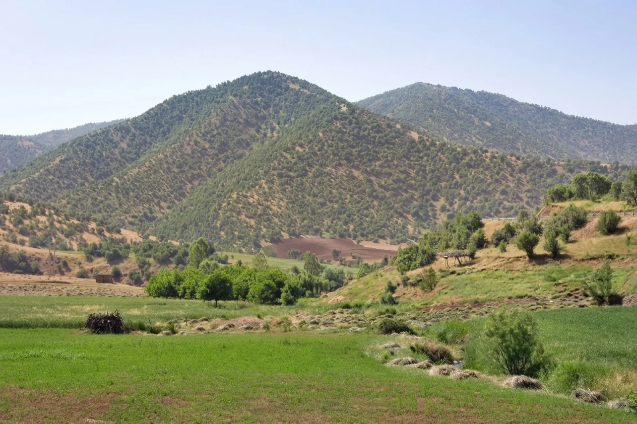 وەرگرتنی ئاو